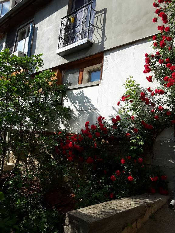 Diana Guesthouse Weliko Tarnowo Exterior foto