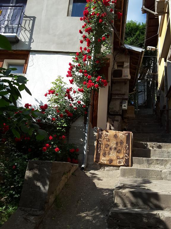 Diana Guesthouse Weliko Tarnowo Exterior foto